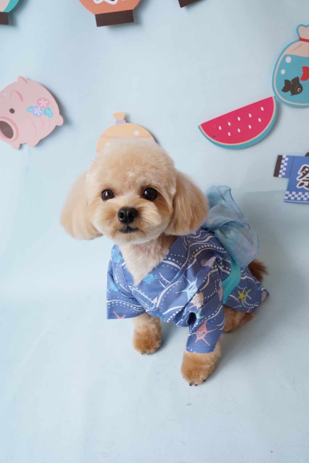 お盆も通常営業!!