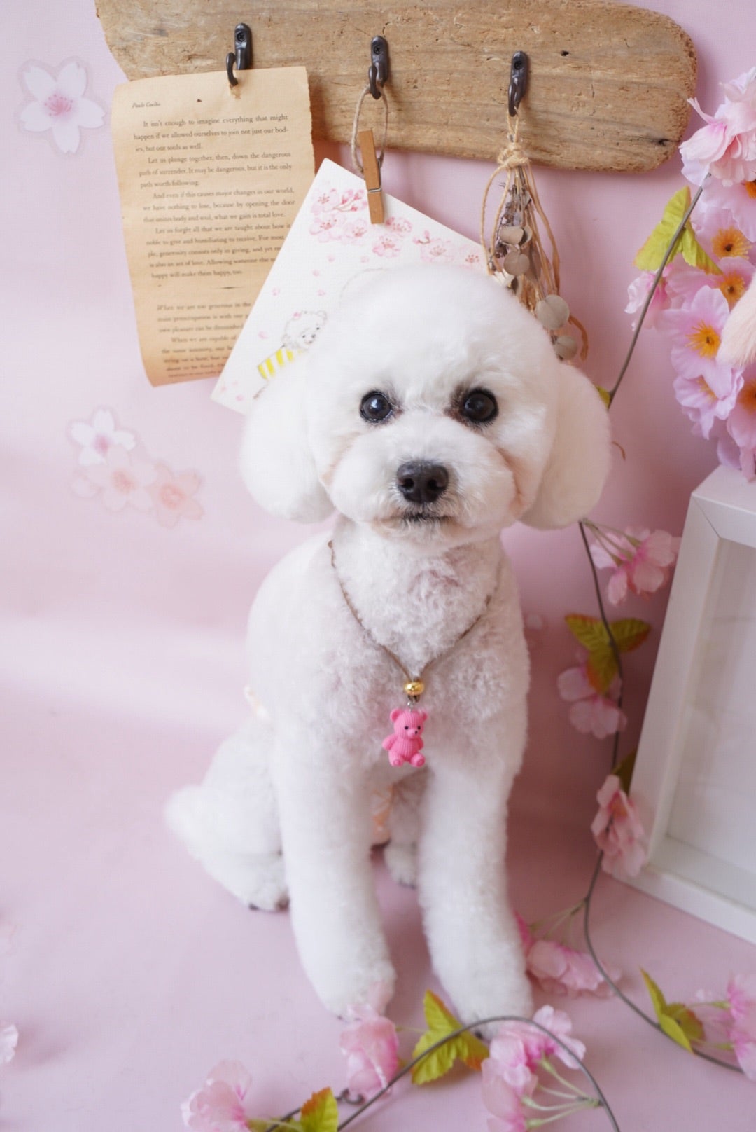 トリミングスタイル